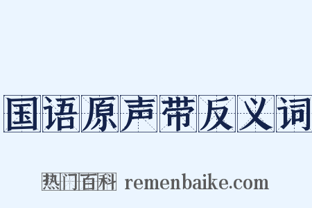 国语原声带反义词是什么意思的图片